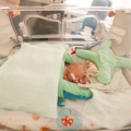 Benjamincare Benjamin Comfynest set in gebruik Earlybird Jack 3
